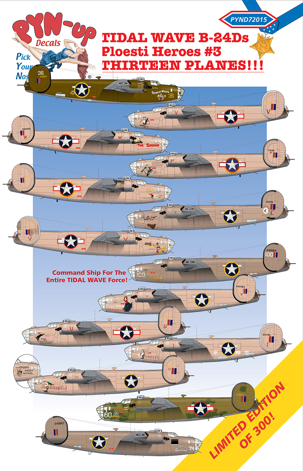 PYND72015 TIDAL WAVE B-24D Nose Art #3 - Fine Art Of Decals